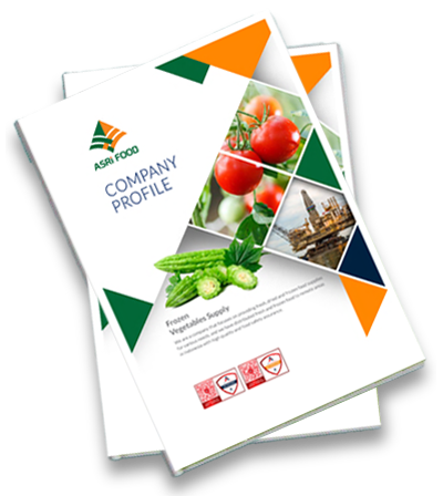 desain dan layout company profile perusahaan